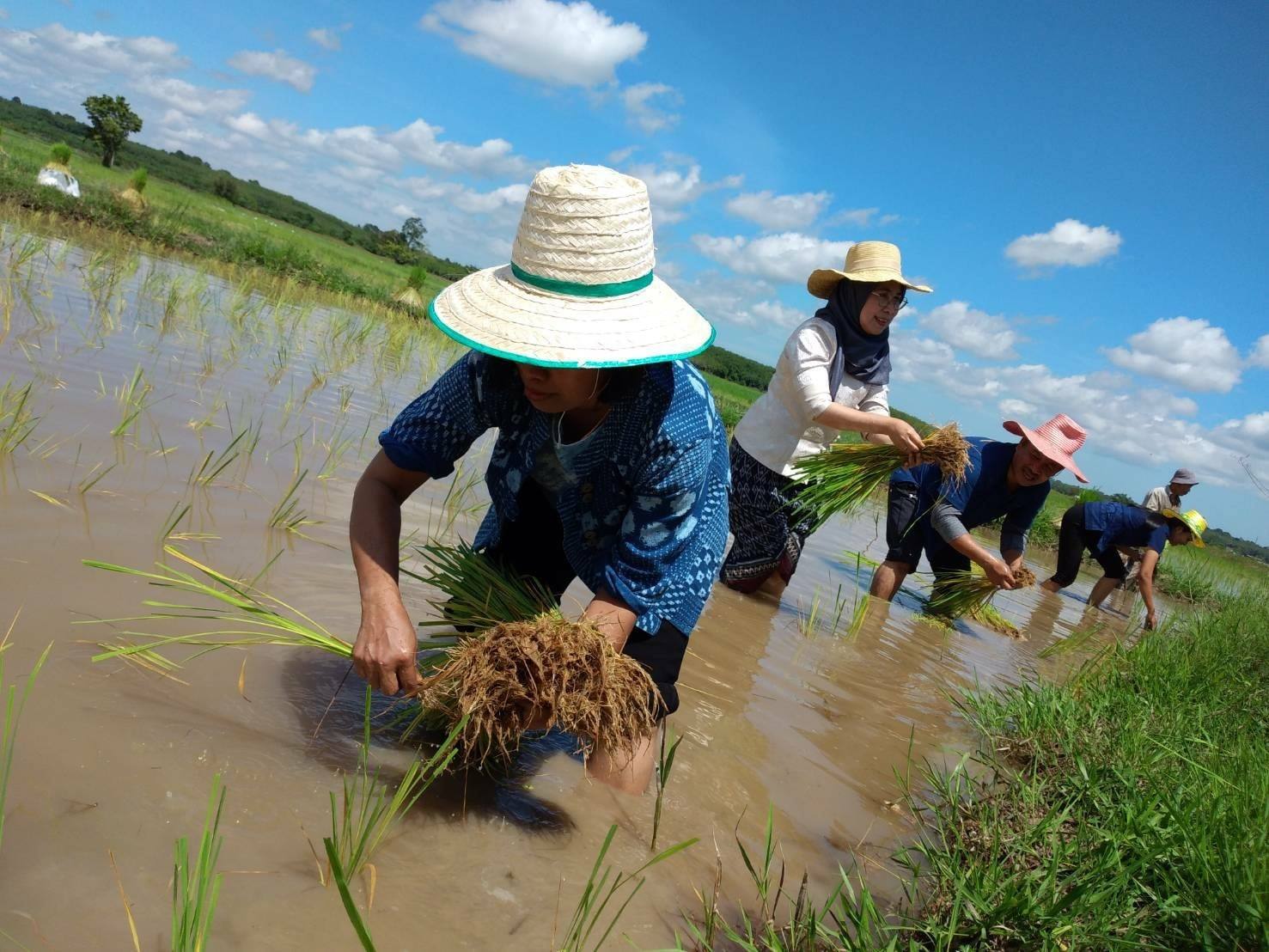 กิจกรรม : พช.ปัตตานี ลงพื้นที่ อำเภอโคกโพธิ์ เตรียมความพร้อมแลกเปลี่ยนเรียนรู้กิจกรรม “โคก หนอง นา โมเดล”