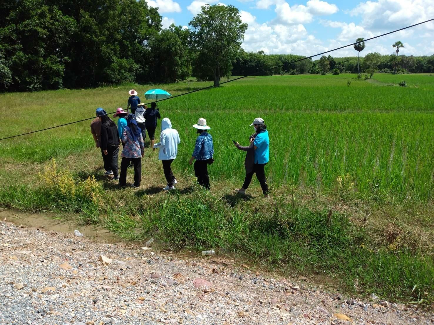 กิจกรรม : พช.ปัตตานี ลงพื้นที่ อำเภอโคกโพธิ์ เตรียมความพร้อมแลกเปลี่ยนเรียนรู้กิจกรรม “โคก หนอง นา โมเดล”