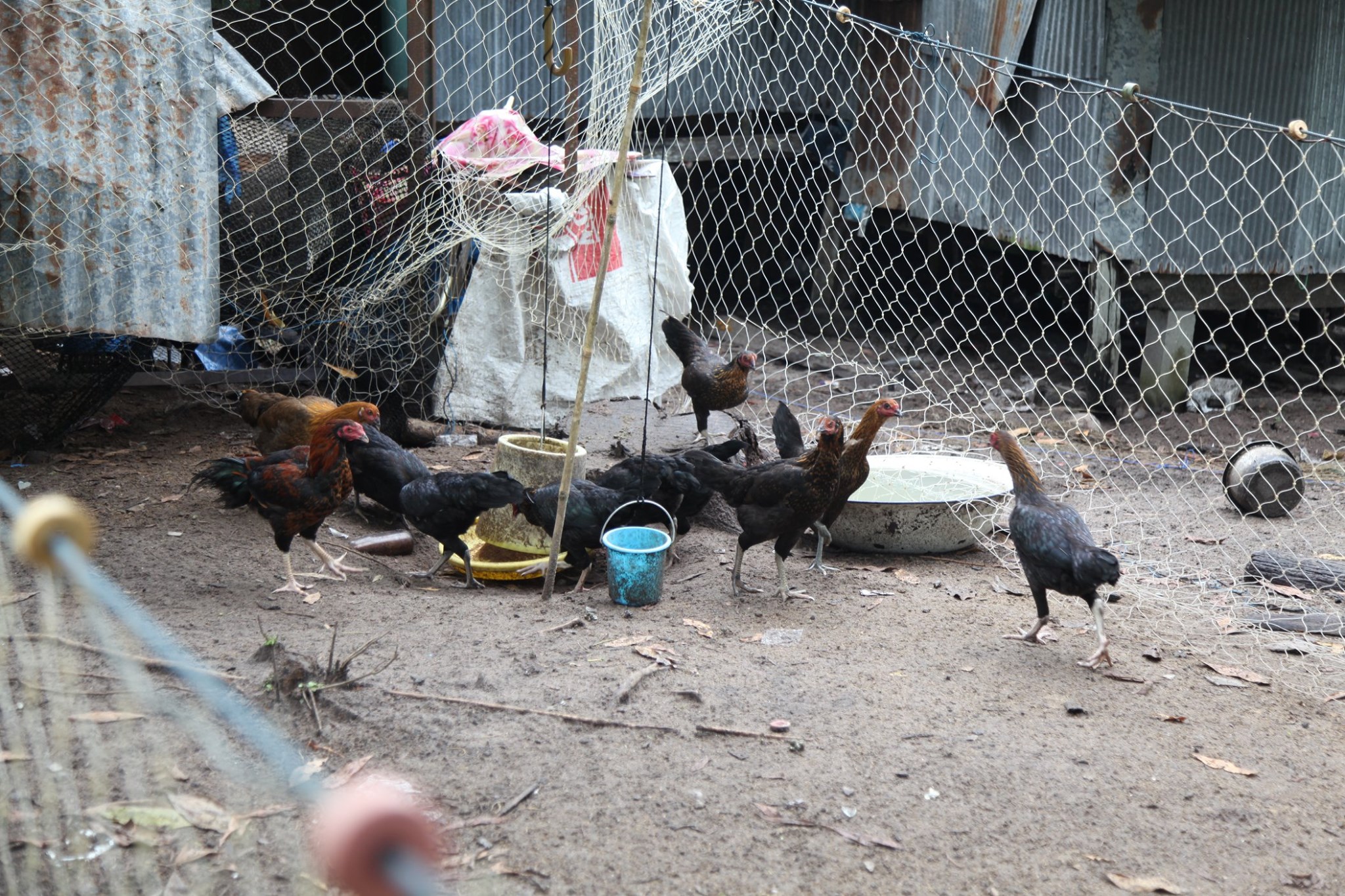 กิจกรรม : พัฒนาชุมชนปัตตานี ติดตามผลการยกระดับคุณภาพชีวิตครัวเรือนเป้าหมายตกเกณฑ์ด้านรายได้ และการดำเนินงานชุมชนท่องเที่ยว OTOP นวัตวิถี