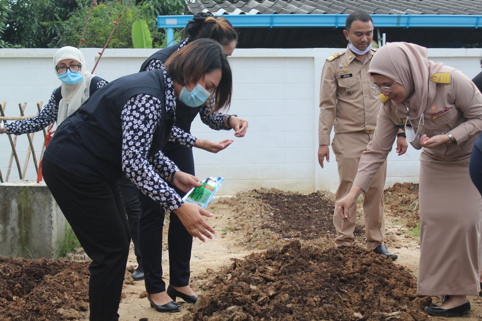 กิจกรรม : ปลูกผักต่อเนื่อง! พช.ปัตตานี สร้างวัฒนธรรมการปลูกผัก เพื่อสร้างความมั่นคงทางอาหารอย่างต่อเนื่อง