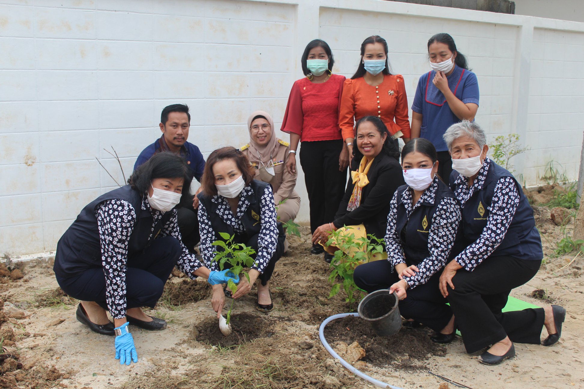 กิจกรรม : ปลูกผักต่อเนื่อง! พช.ปัตตานี สร้างวัฒนธรรมการปลูกผัก เพื่อสร้างความมั่นคงทางอาหารอย่างต่อเนื่อง