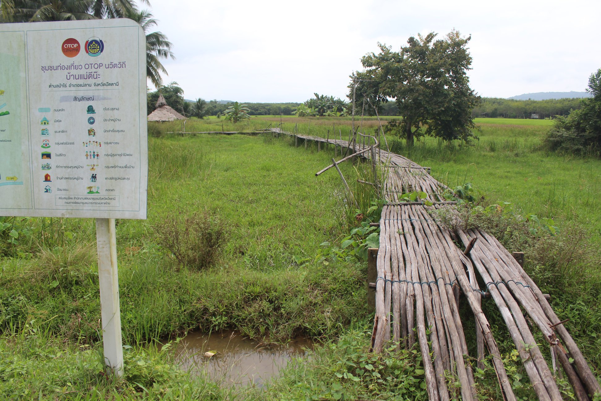 กิจกรรม : พช.ปัตตานี ลงพื้นที่ตรวจสอบข้อมูลและติดตามผลการดำเนินงาน ชุมชนท่องเที่ยว OTOP นวัตวิถี เตรียมเสนอรายละเอียดในโครงการเพื่อแก้ไขปัญหา เยียวยา ฟื้นฟูเศรษฐกิจและสังคม ที่ได้รับผลกระทบจากสถานการณ์การระบาดของโรคติดเชื้อไวรัสโคโรนา 2019 พ.ศ.2563