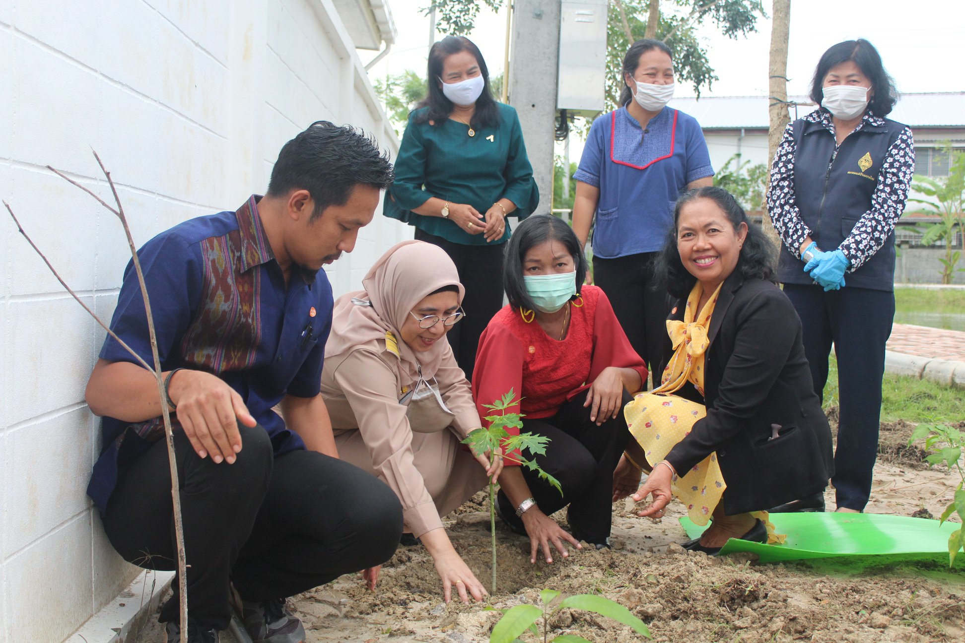 กิจกรรม : ปลูกผักต่อเนื่อง! พช.ปัตตานี สร้างวัฒนธรรมการปลูกผัก เพื่อสร้างความมั่นคงทางอาหารอย่างต่อเนื่อง