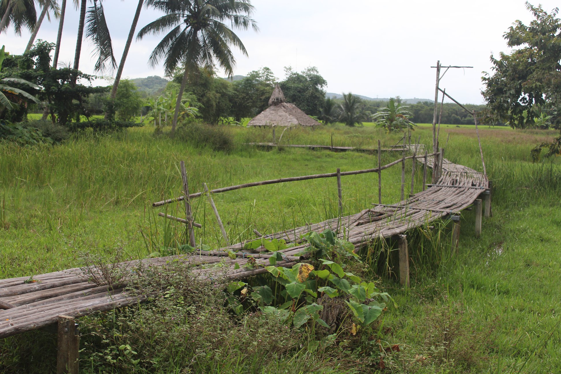 กิจกรรม : พช.ปัตตานี ลงพื้นที่ตรวจสอบข้อมูลและติดตามผลการดำเนินงาน ชุมชนท่องเที่ยว OTOP นวัตวิถี เตรียมเสนอรายละเอียดในโครงการเพื่อแก้ไขปัญหา เยียวยา ฟื้นฟูเศรษฐกิจและสังคม ที่ได้รับผลกระทบจากสถานการณ์การระบาดของโรคติดเชื้อไวรัสโคโรนา 2019 พ.ศ.2563