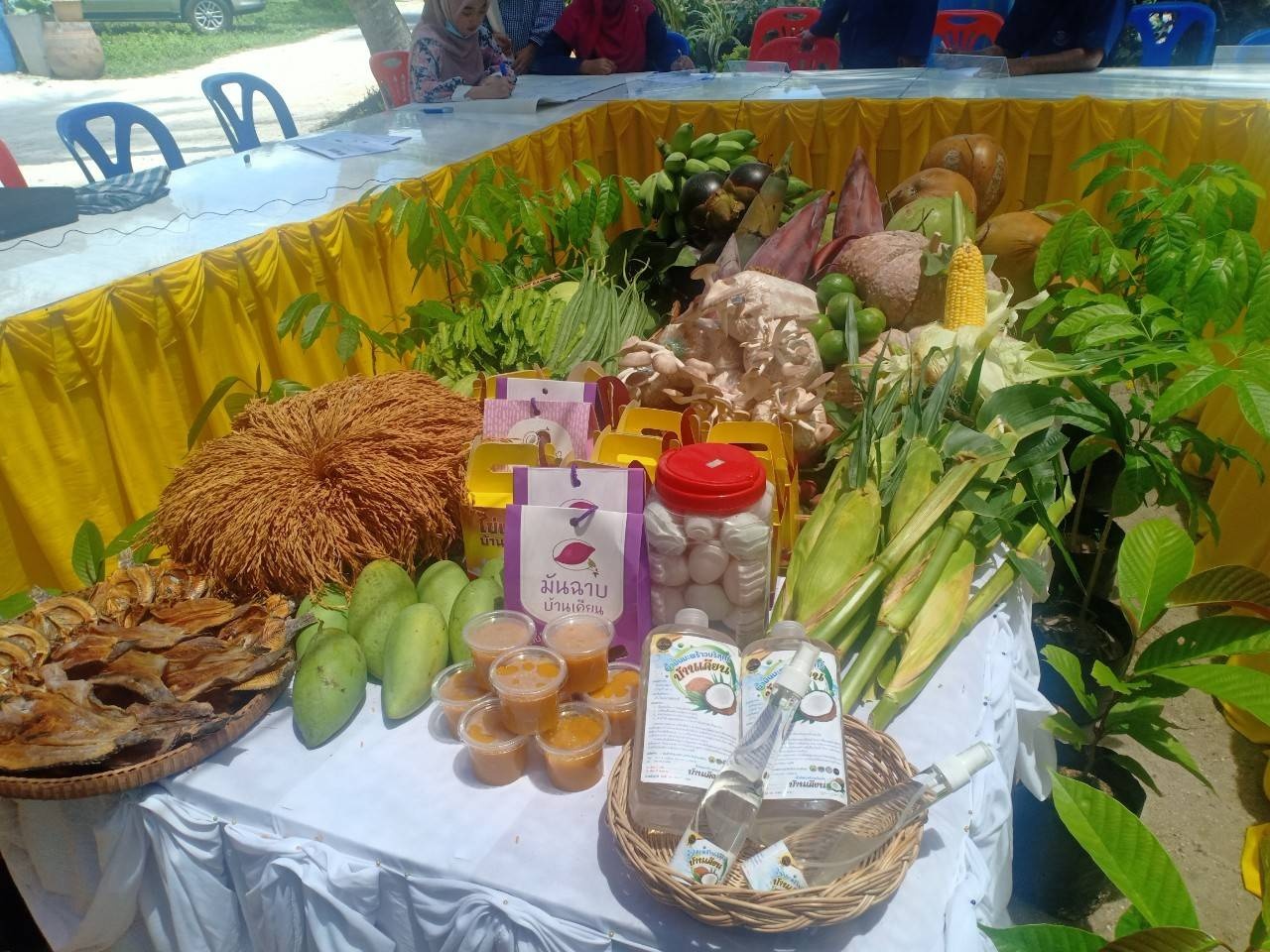 พช.ปัตตานี ค้นหาต้นแบบผู้นำการเปลี่ยนแปลงที่ใช้พลังชุมชนสร้างภูมิคุ้มกันทางสังคม บูรณาการงานพัฒนาชุมชน สร้างความมั่นคงด้านอาหาร ฝ่าวิกฤต COVID-19