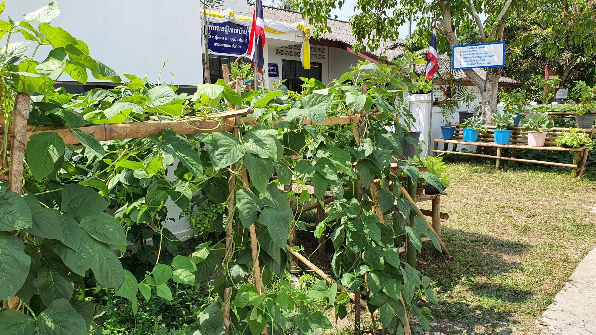 พช.ปัตตานี ลงพื้นที่ คัดสรรกิจกรรมพัฒนาชุมชนดีเด่น หมู่บ้านเศรษฐกิจพอเพียง “อยู่เย็น เป็นสุข” ระดับจังหวัด ประจำปี 2564