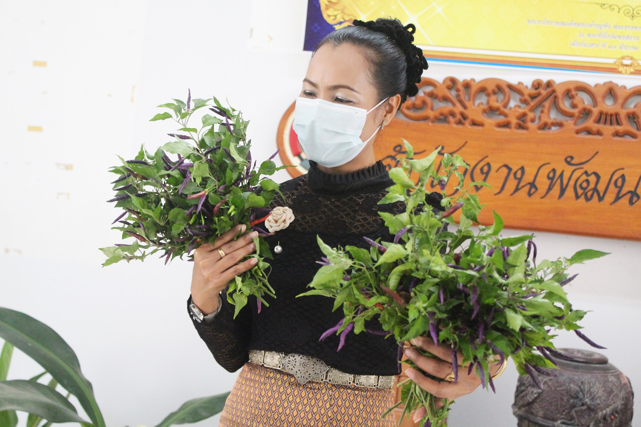 “ปลูกผักแบ่งปัน สร้างวัฒนธรรมการปลูกผักอย่างต่อเนื่อง” ขับเคลื่อนแผนปฏิบัติการ 90 วัน ปลูกผักสวนครัวเพื่อสร้างความมั่นคงทางอาหาร (รอบ 2)