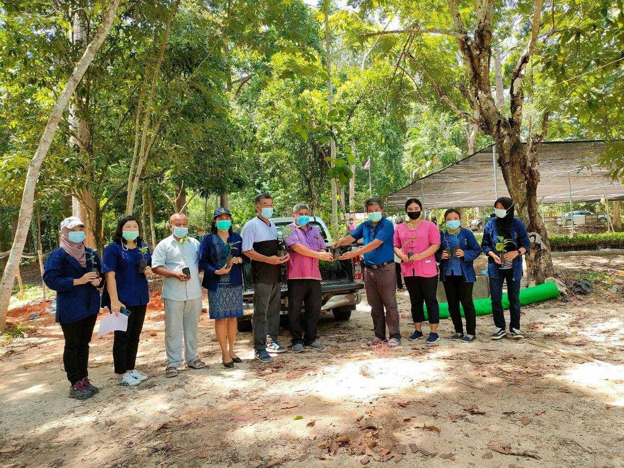 พช.ปัตตานี บูรณาการสถานีเพาะชำกล้าไม้จังหวัดปัตตานี สนับสนุนพันธุ์ไม้ จำนวน 3,820 ต้นกล้า ให้กับครัวเรือนต้นแบบในโครงการพัฒนาหมู่บ้านเศรษฐกิจพอเพียง