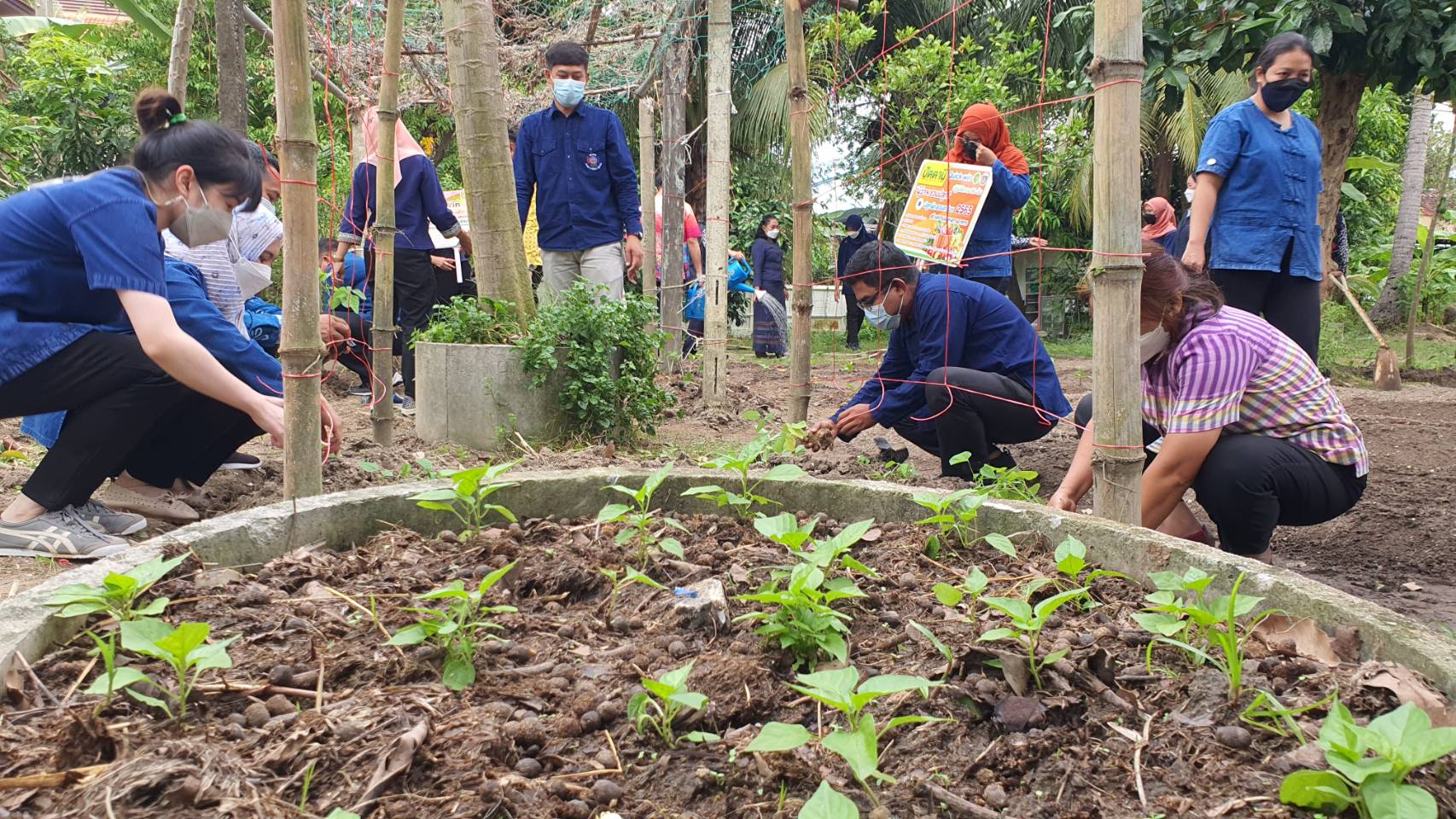 ผวจ.ปัตตานี” เปิดสวนหลังจวนผู้ว่าราชการจังหวัด ยกร่องปลูกผักสวนครัว” ร่วมขับเคลื่อนกิจกรรมสร้างวัฒนธรรมการปลูกผักอย่างต่อเนื่อง