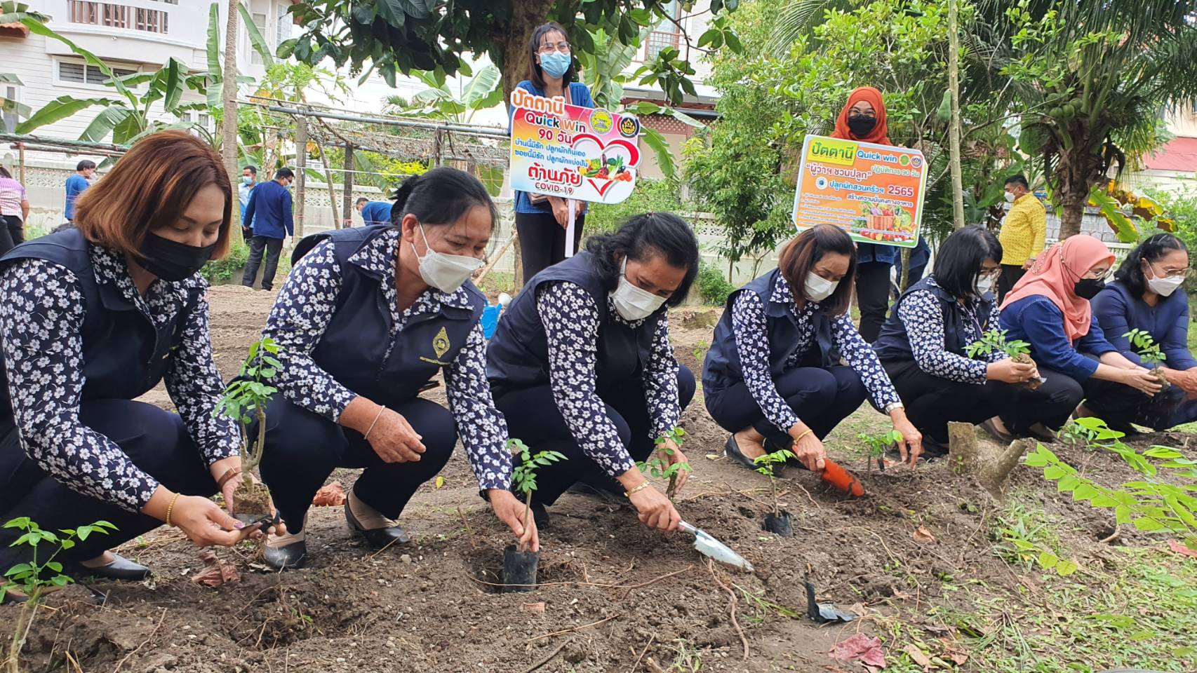 ผวจ.ปัตตานี” เปิดสวนหลังจวนผู้ว่าราชการจังหวัด ยกร่องปลูกผักสวนครัว” ร่วมขับเคลื่อนกิจกรรมสร้างวัฒนธรรมการปลูกผักอย่างต่อเนื่อง
