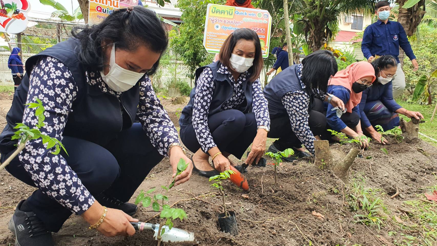 ผวจ.ปัตตานี” เปิดสวนหลังจวนผู้ว่าราชการจังหวัด ยกร่องปลูกผักสวนครัว” ร่วมขับเคลื่อนกิจกรรมสร้างวัฒนธรรมการปลูกผักอย่างต่อเนื่อง