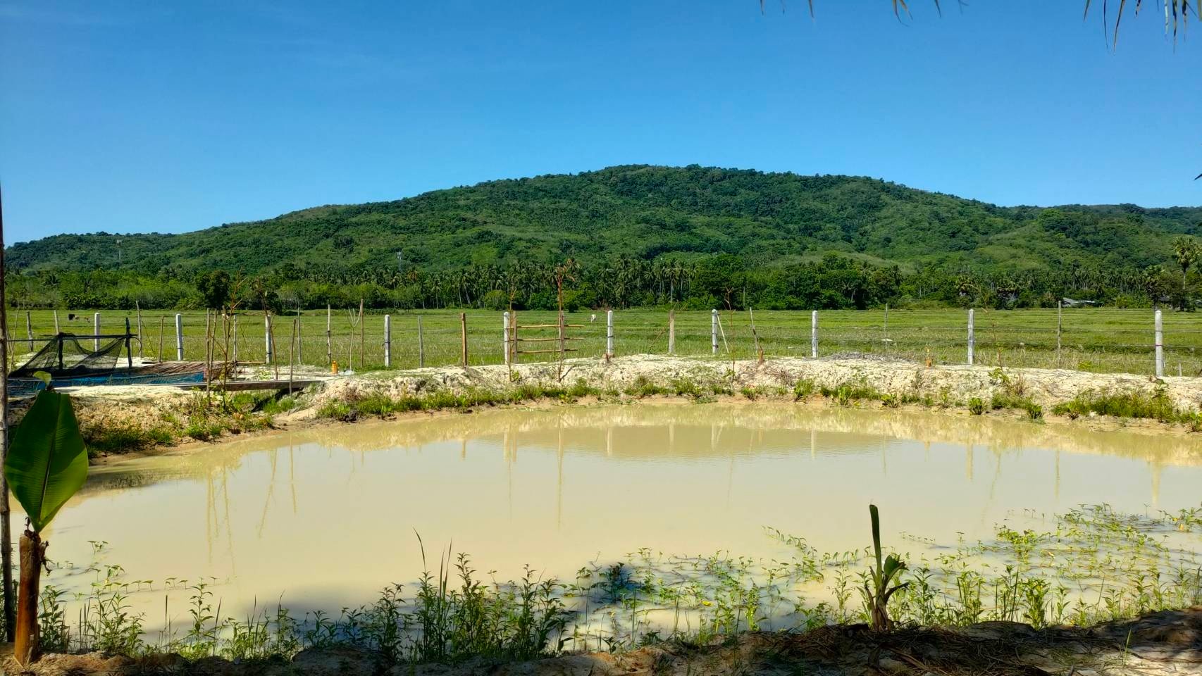 พช.ปัตตานี ลงพื้นที่ติดตาม/สนับสนุน การดำเนินงาน “โคก หนอง นา กรมการพัฒนาชุมชน” “การพัฒนาศูนย์เรียนรู้เศรษฐกิจพอเพียง และ ปฏิบัติการขจัดความยากจนและพัฒนาคนทุกช่วงวัยอย่างยั่งยืนตามหลักปรัชญาของเศรษฐกิจพอเพียง” ในพื้นที่ อำเภอสายบุรี จังหวัดปัตตานี