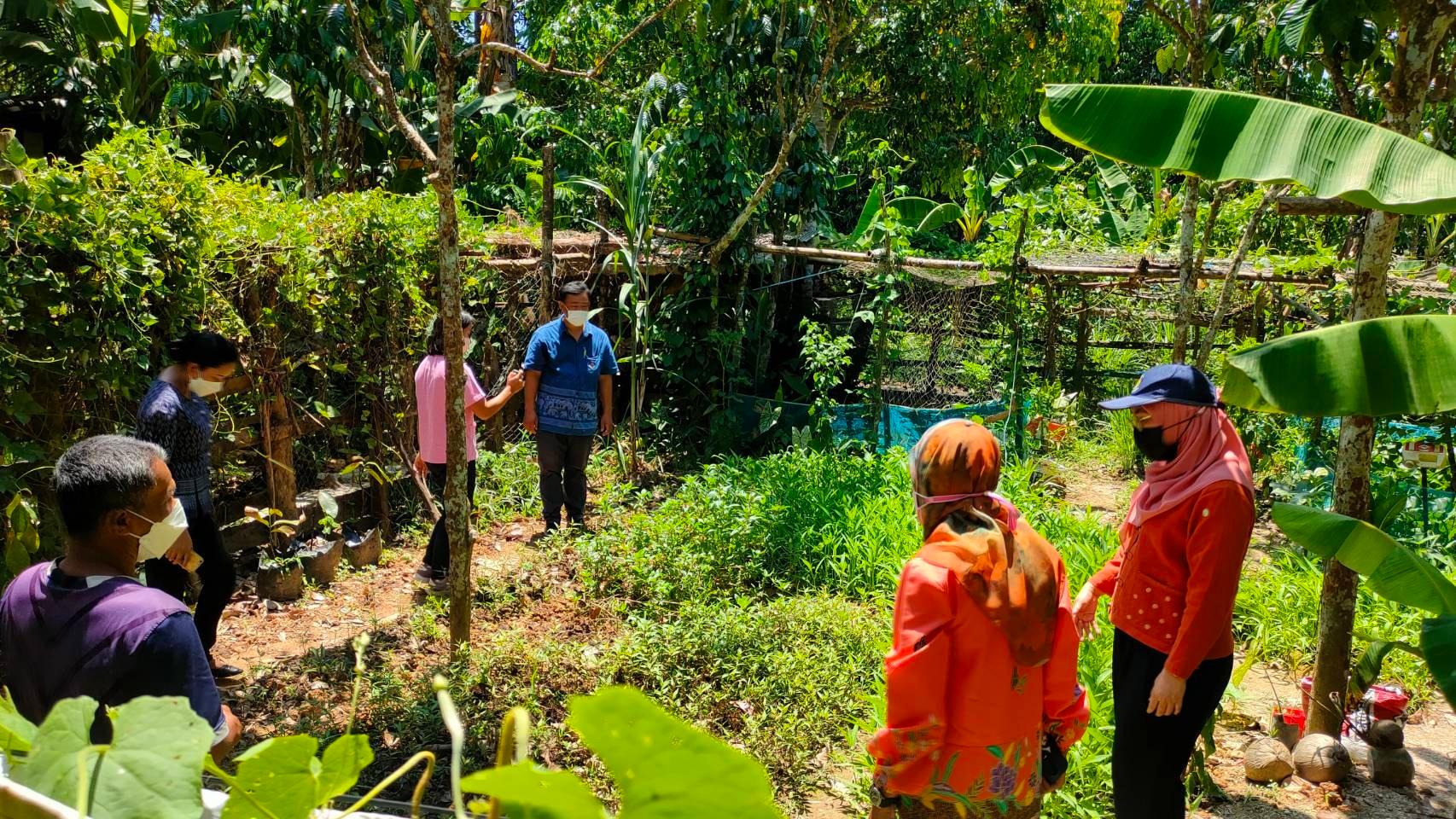 พช.ปัตตานี ลงพื้นที่ติดตาม/สนับสนุน การดำเนินงาน “โคก หนอง นา กรมการพัฒนาชุมชน” “การพัฒนาศูนย์เรียนรู้เศรษฐกิจพอเพียง และ ปฏิบัติการขจัดความยากจนและพัฒนาคนทุกช่วงวัยอย่างยั่งยืนตามหลักปรัชญาของเศรษฐกิจพอเพียง” ในพื้นที่ อำเภอสายบุรี จังหวัดปัตตานี
