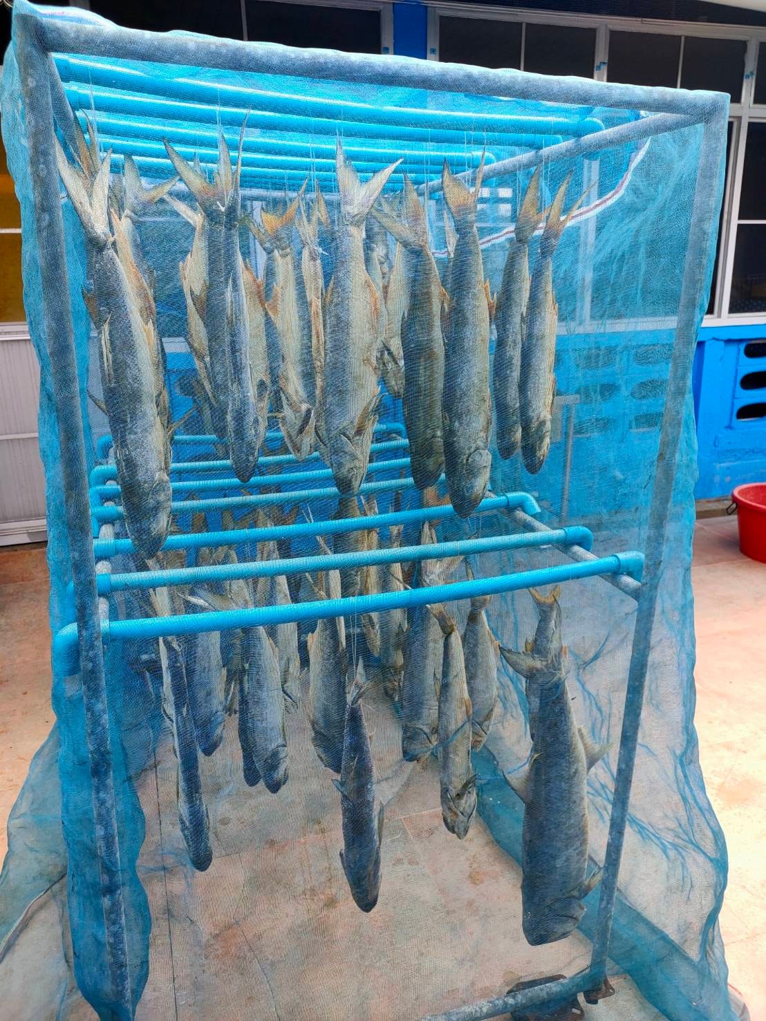 พจ.ปัตตานี ลงพื้นที่พบปะและสนับสนุนการขับเคลื่อนกิจกรรมพัฒนาชุมชนในพื้นที่อำเภอหนองจิก จังหวัดปัตตานี