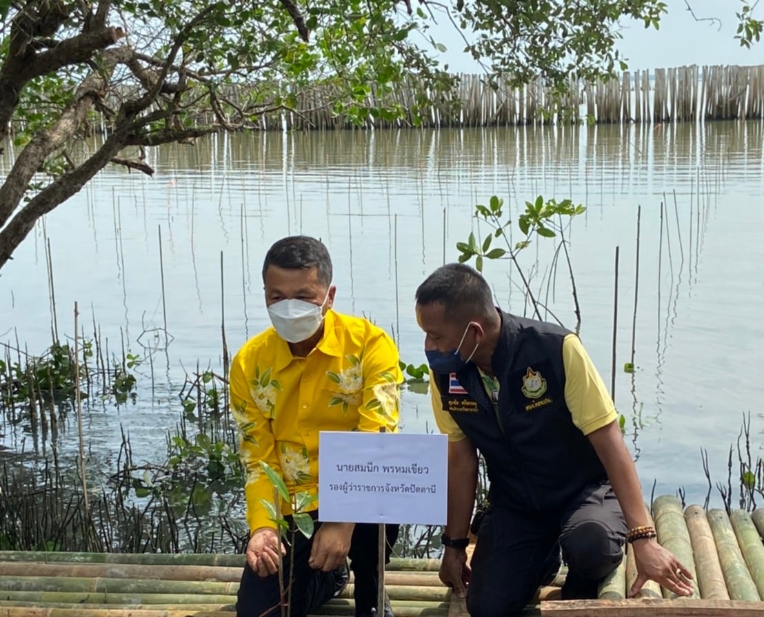 พช.ปัตตานี ร่วมปลูกป่าชายเลน เนื่องใน “วันป่าชายเลนแห่งชาติ และวันรักต้นไม้ประจำปีของชาติ” พ.ศ. 2565