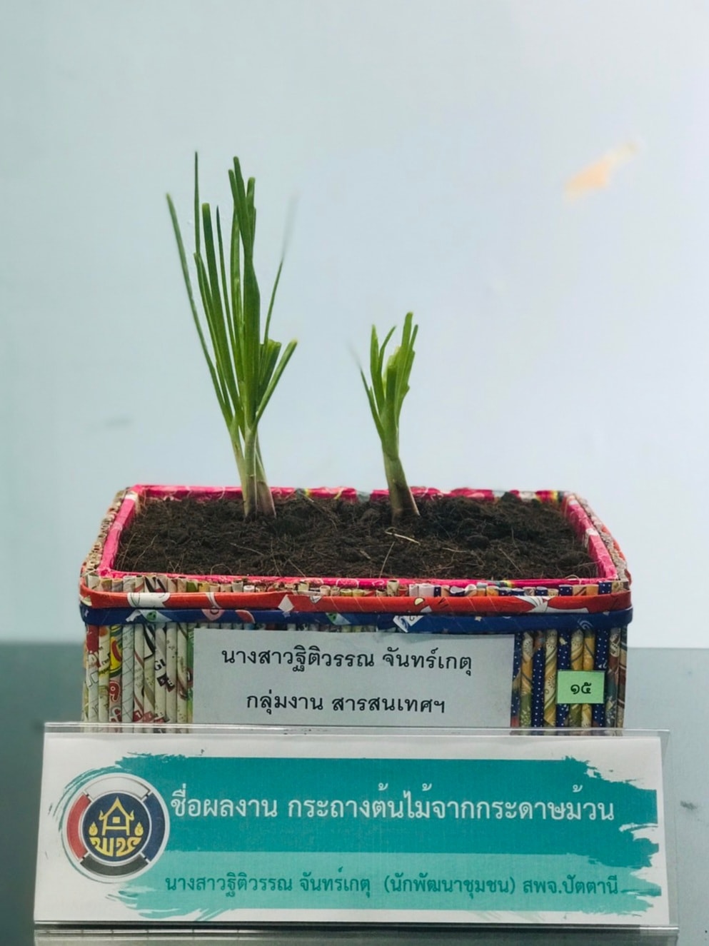 พช.ปัตตานี ประกวด idea ปลูกผักแบบสร้างสรรค์ ใช้นวัตกรรมและสิ่งประดิษฐ์จากวัสดุเหลือใช้ ต่อยอดแผนปฏิบัติการ 90 วัน ปลูกผักสวนครัวเพื่อสร้างความมั่นคงทางอาหาร