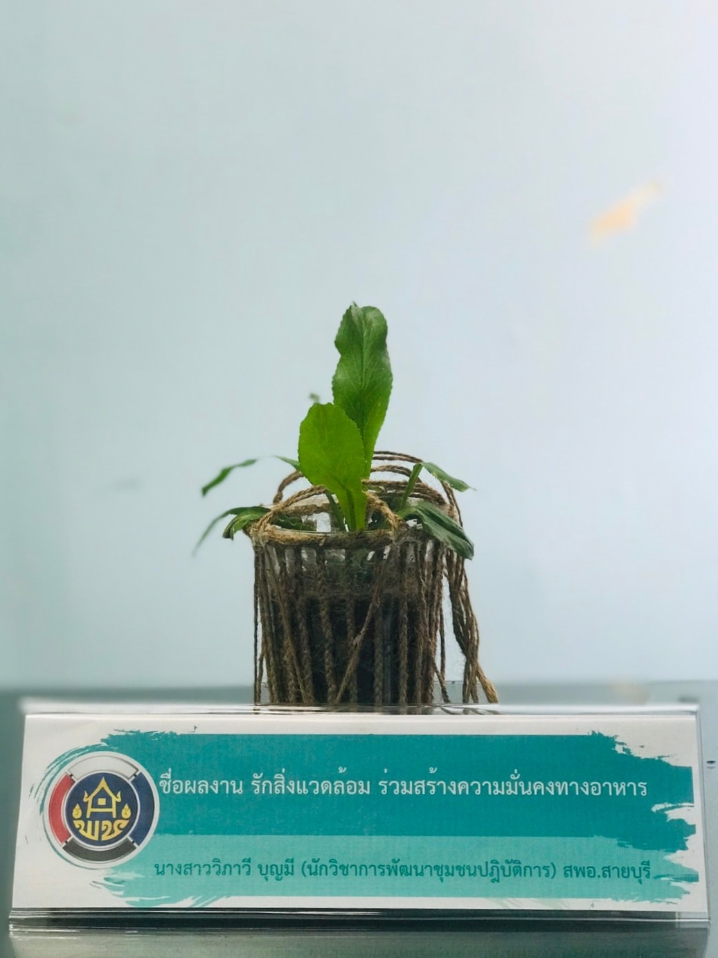 พช.ปัตตานี ประกวด idea ปลูกผักแบบสร้างสรรค์ ใช้นวัตกรรมและสิ่งประดิษฐ์จากวัสดุเหลือใช้ ต่อยอดแผนปฏิบัติการ 90 วัน ปลูกผักสวนครัวเพื่อสร้างความมั่นคงทางอาหาร