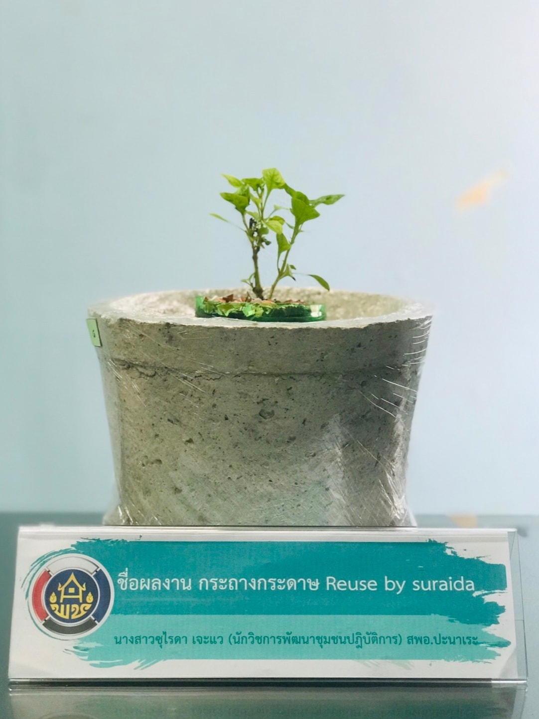 พช.ปัตตานี ประกวด idea ปลูกผักแบบสร้างสรรค์ ใช้นวัตกรรมและสิ่งประดิษฐ์จากวัสดุเหลือใช้ ต่อยอดแผนปฏิบัติการ 90 วัน ปลูกผักสวนครัวเพื่อสร้างความมั่นคงทางอาหาร