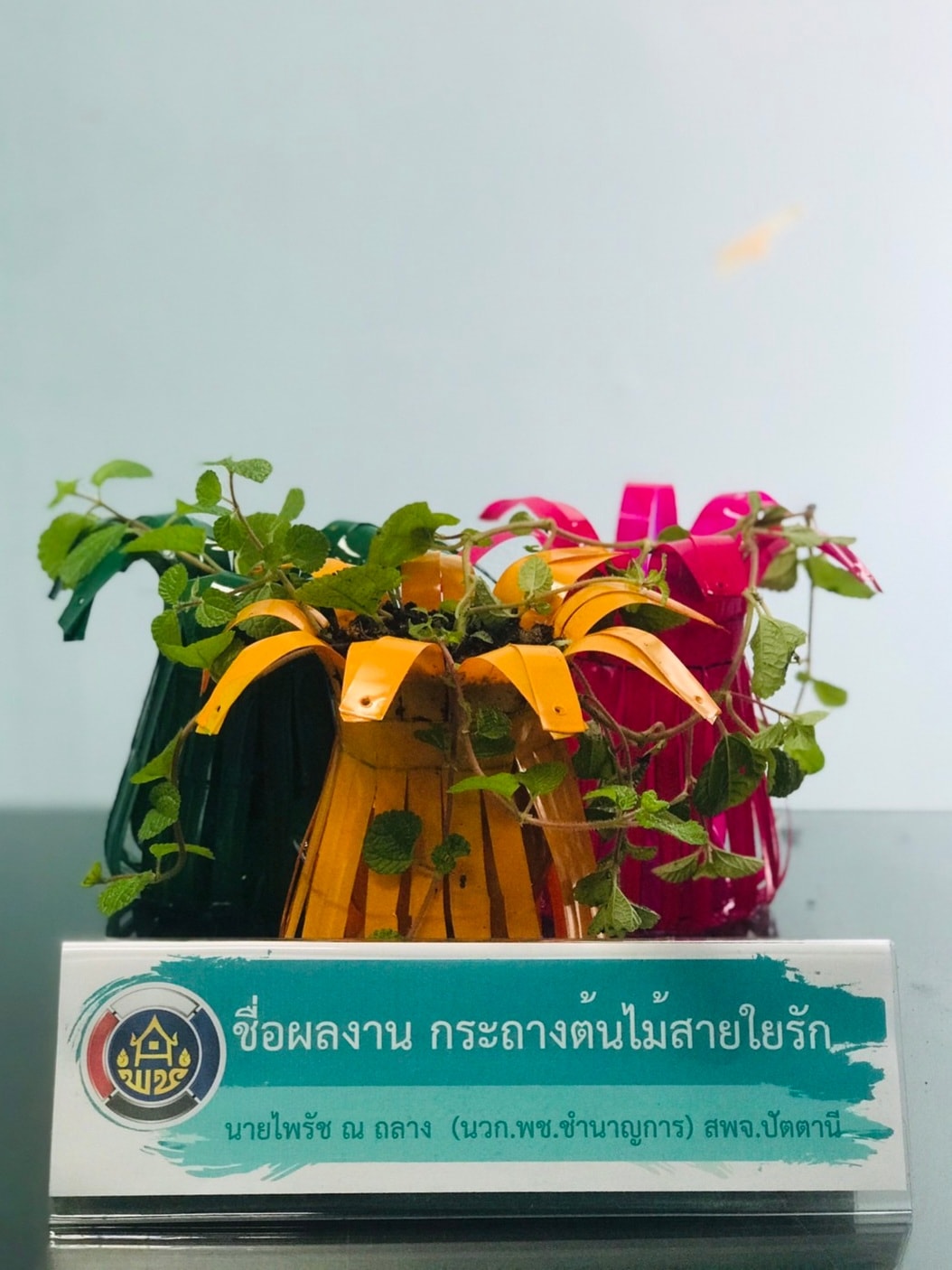 พช.ปัตตานี ประกวด idea ปลูกผักแบบสร้างสรรค์ ใช้นวัตกรรมและสิ่งประดิษฐ์จากวัสดุเหลือใช้ ต่อยอดแผนปฏิบัติการ 90 วัน ปลูกผักสวนครัวเพื่อสร้างความมั่นคงทางอาหาร