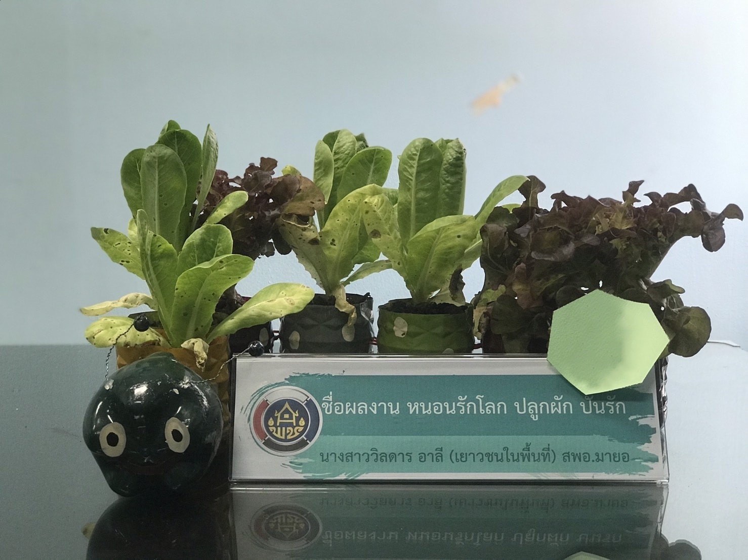 พช.ปัตตานี ประกวด idea ปลูกผักแบบสร้างสรรค์ ใช้นวัตกรรมและสิ่งประดิษฐ์จากวัสดุเหลือใช้ ต่อยอดแผนปฏิบัติการ 90 วัน ปลูกผักสวนครัวเพื่อสร้างความมั่นคงทางอาหาร