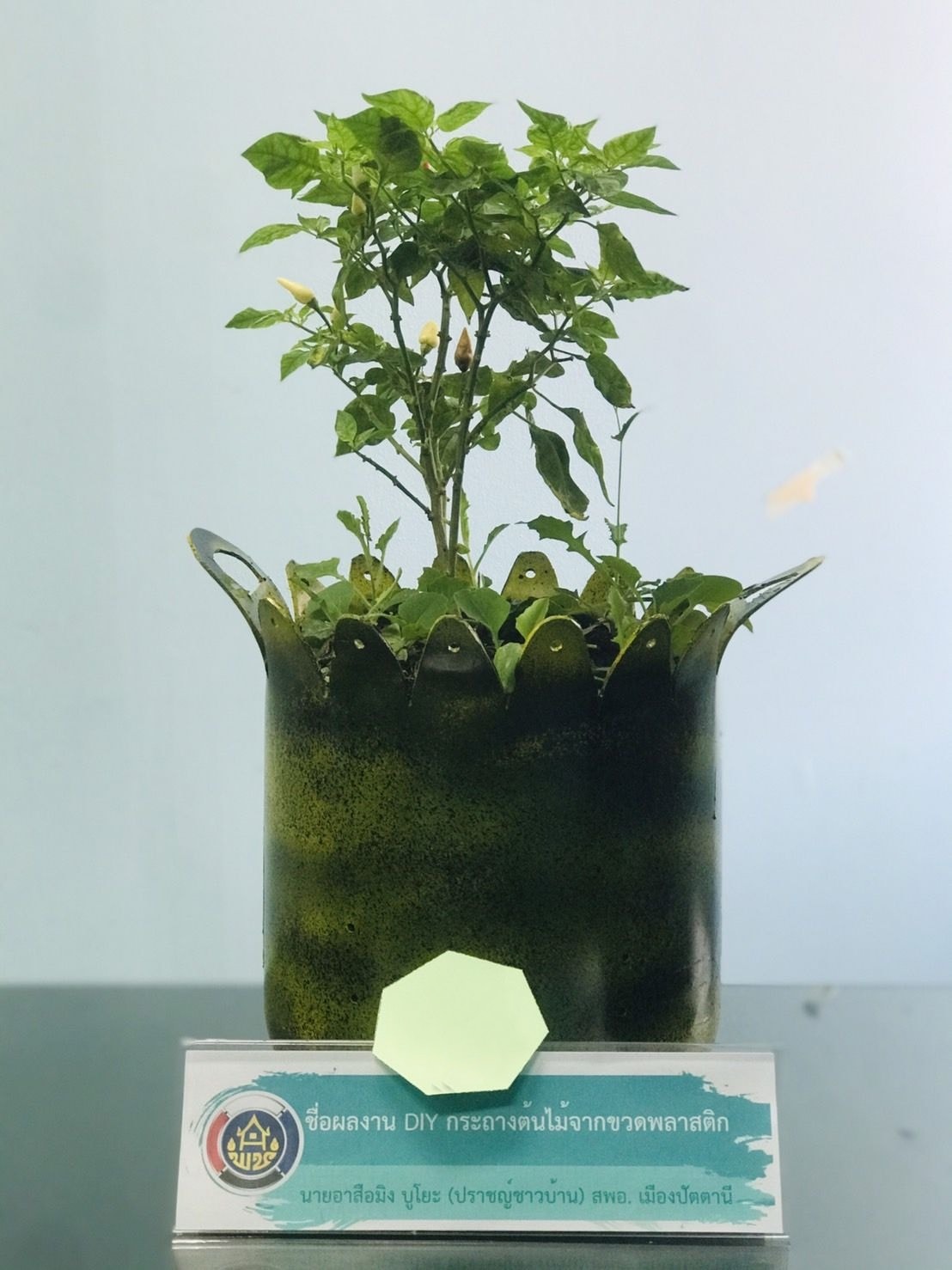 พช.ปัตตานี ประกวด idea ปลูกผักแบบสร้างสรรค์ ใช้นวัตกรรมและสิ่งประดิษฐ์จากวัสดุเหลือใช้ ต่อยอดแผนปฏิบัติการ 90 วัน ปลูกผักสวนครัวเพื่อสร้างความมั่นคงทางอาหาร