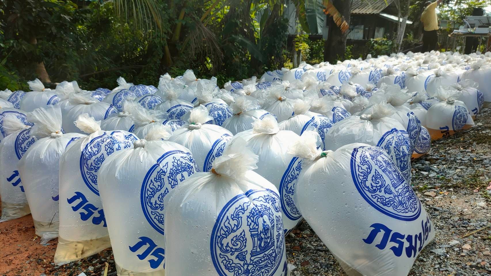 พช.ปัตตานี ร่วมปล่อยพันธุ์สัตว์น้ำ เนื่องใน “วันเฉลิมพระชนมพรรษาพระบาทสมเด็จพระปรเมนทรรามาธิบดีศรีสินทรมหาวชิราลงกรณ พระวชิรเกล้าเจ้าอยู่หัว” (28 กรกฎาคม พ.ศ. 2565)