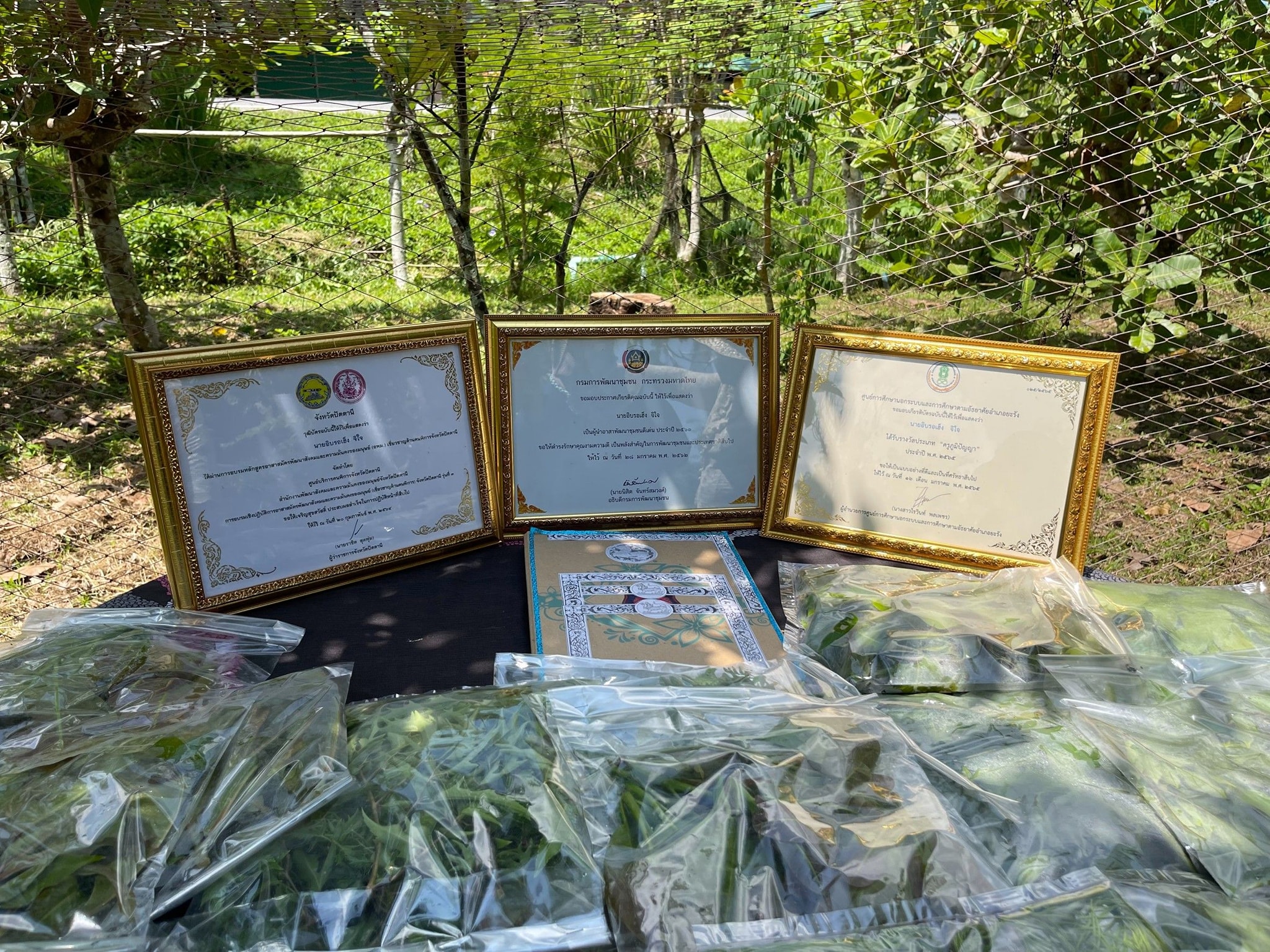 พช.ปัตตานี ค้นหาต้นแบบกิจกรรมปลูกผักสวนครัวสร้างความมั่นคงทางอาหาร น้อมนำแนวพระราชดำริของสมเด็จพระกนิษฐาธิราชเจ้า กรมสมเด็จพระเทพรัตนราชสุดาฯ สยามบรมราชกุมารี