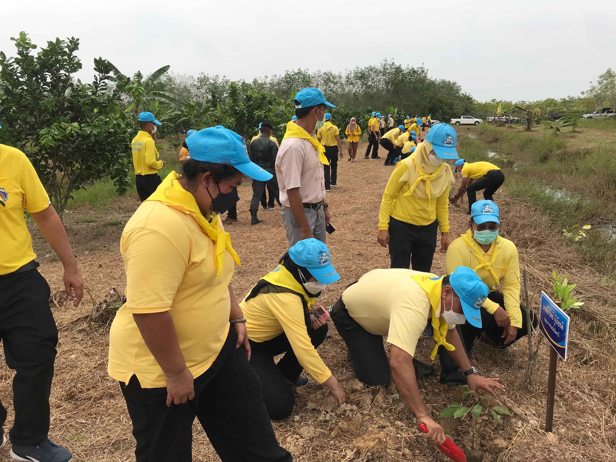 พช.ปัตตานี รวมพลังจิตอาสาพัฒนาชุมชน ร่วมปลูกป่า ปล่อยปลา ปลูกผักสวนครัว เฉลิมพระเกียรติสมเด็จพระนางเจ้าสิริกิติ์ พระบรมราชินีนาถ พระบรมราชชนนีพันปีหลวง เนื่องในโอกาสมหามงคลเฉลิมพระชนมพรรษา 90 พรรษา (12 สิงหาคม 2565), เฉลิมพระเกียรติพระบาทสมเด็จพระปรเมนทรรามาธิบดีศรีสินทรมหาวชิราลงกรณ พระวชิรเกล้าเจ้าอยู่หัว” พระชนมพรรษา 70 พรรษา (28 กรกฎาคม พ.ศ. 2565) และ กิจกรรมการน้อมนำแนวพระราชดำริของสมเด็จพระกนิษฐาธิราชเจ้า กรมสมเด็จพระเทพรัตนราชสุดาฯ สยามบรมราชกุมารี สร้างความมั่นคงทางอาหาร สู่ปฏิบัติการปลูกผักสวนครัวเพื่อสร้างความมั่นคงทางอาหาร
