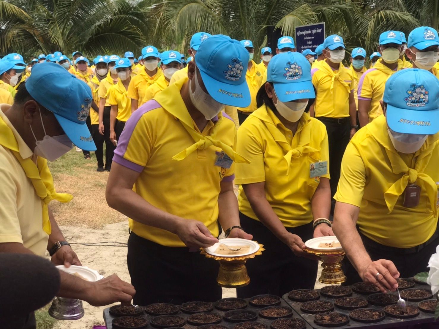 พช.ปัตตานี รวมพลังจิตอาสาพัฒนาชุมชน ร่วมปลูกป่า ปล่อยปลา ปลูกผักสวนครัว เฉลิมพระเกียรติสมเด็จพระนางเจ้าสิริกิติ์ พระบรมราชินีนาถ พระบรมราชชนนีพันปีหลวง เนื่องในโอกาสมหามงคลเฉลิมพระชนมพรรษา 90 พรรษา (12 สิงหาคม 2565), เฉลิมพระเกียรติพระบาทสมเด็จพระปรเมนทรรามาธิบดีศรีสินทรมหาวชิราลงกรณ พระวชิรเกล้าเจ้าอยู่หัว” พระชนมพรรษา 70 พรรษา (28 กรกฎาคม พ.ศ. 2565) และ กิจกรรมการน้อมนำแนวพระราชดำริของสมเด็จพระกนิษฐาธิราชเจ้า กรมสมเด็จพระเทพรัตนราชสุดาฯ สยามบรมราชกุมารี สร้างความมั่นคงทางอาหาร สู่ปฏิบัติการปลูกผักสวนครัวเพื่อสร้างความมั่นคงทางอาหาร