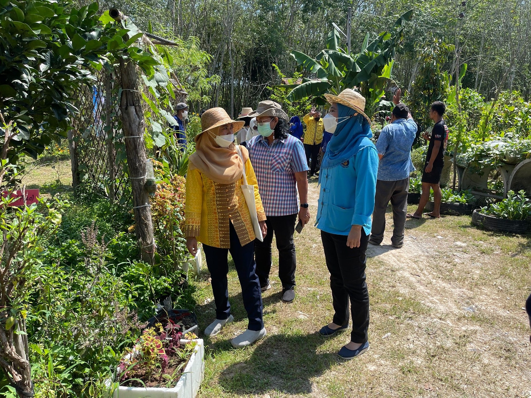 พช.ปัตตานี ค้นหาต้นแบบกิจกรรมปลูกผักสวนครัวสร้างความมั่นคงทางอาหาร น้อมนำแนวพระราชดำริของสมเด็จพระกนิษฐาธิราชเจ้า กรมสมเด็จพระเทพรัตนราชสุดาฯ สยามบรมราชกุมารี